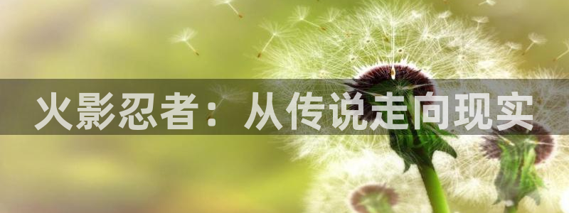 韩国漫画 韩漫：火影忍者：从传说走向现实