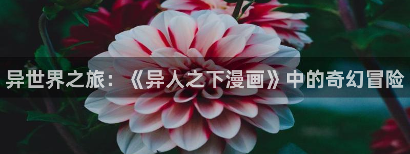 韩漫画在线免费观看网址：异世界之旅：《异人之下漫画》中的奇幻冒险