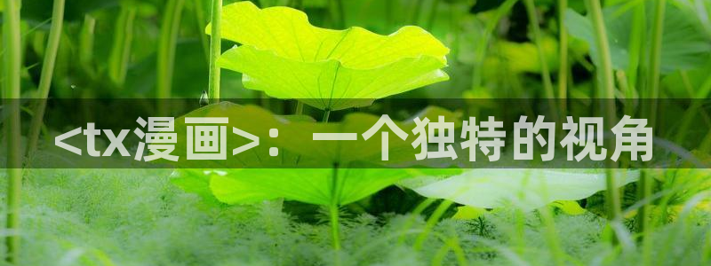 韩漫画有哪些：<tx漫画>：一个独特的视角
