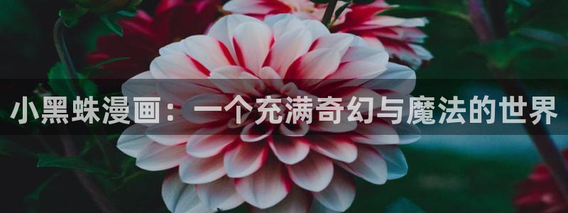 野画集韩漫在线观看：小黑蛛漫画：一个充满奇幻与魔法的世界