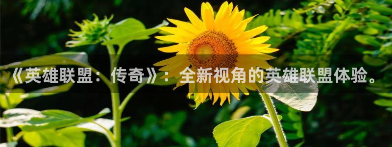 免费看韩漫大全：《英雄联盟：传奇》：全新视角的英雄联盟体验。