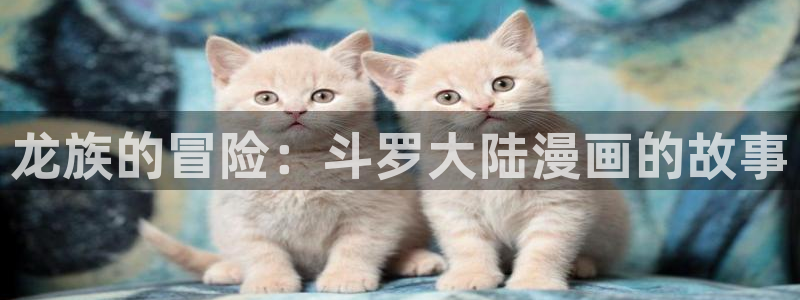 韩漫漫画美丽新世界：龙族的冒险：斗罗大陆漫画的故事