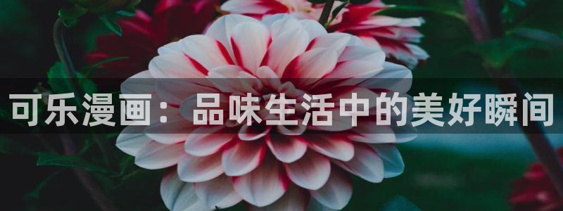 韩漫bjalex：可乐漫画：品味生活中的美好瞬间